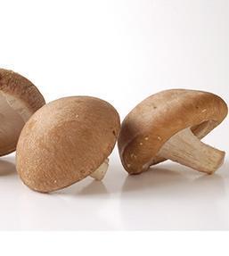 Champignon Shitake De France Par 200g